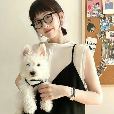 迪兹先生