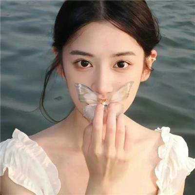 屠门镇之关西荡寇